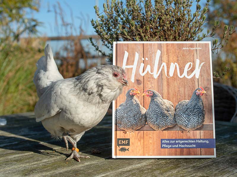 Hühner – ein Hühnerbuch zur artgerechten Haltung, Pflege und Nachzucht